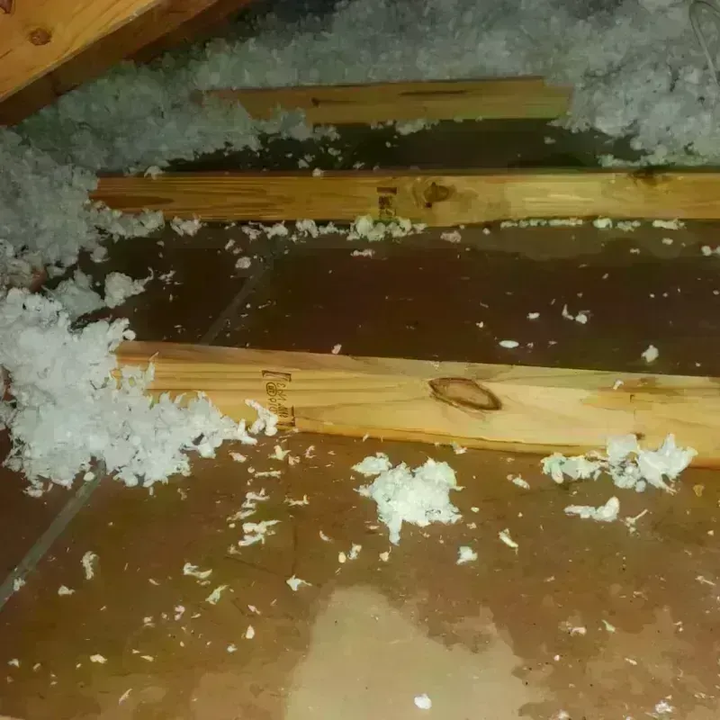 Attic Water Damage in Oglesby, IL