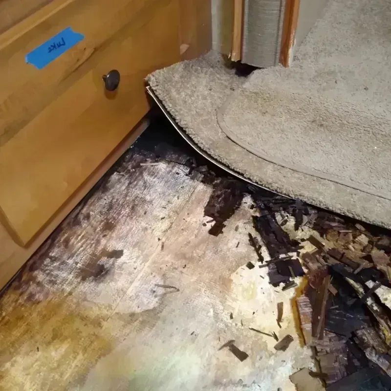 Wood Floor Water Damage in Oglesby, IL